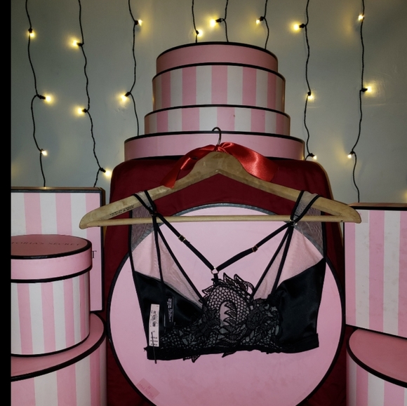 Victoria Secret Luxe Lingerie Dragon Lace Bra - Picture 2 of 6